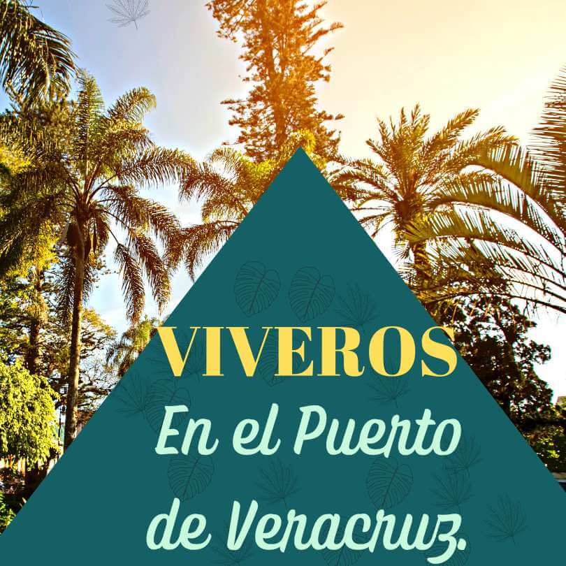 viveros en Veracruz Puerto