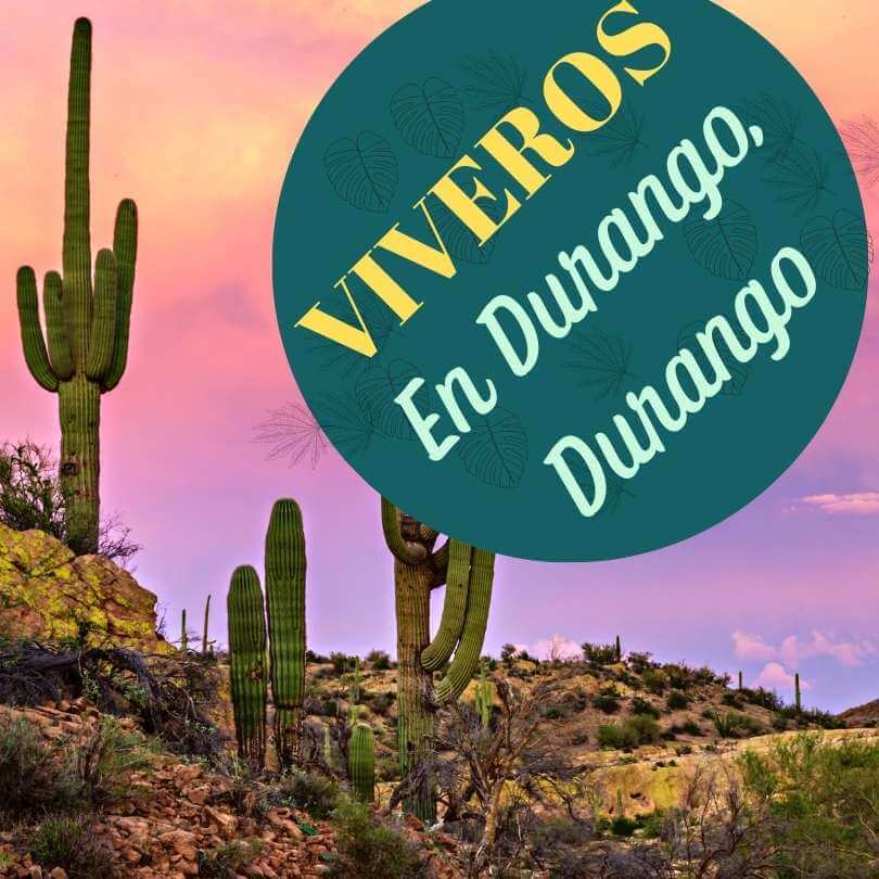 Viveros en Durango Durango