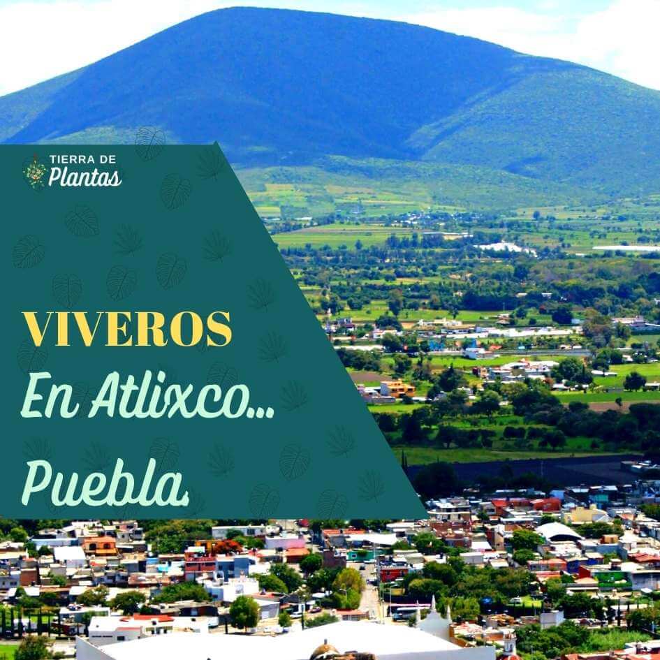 viveros en Atlixco Puebla
