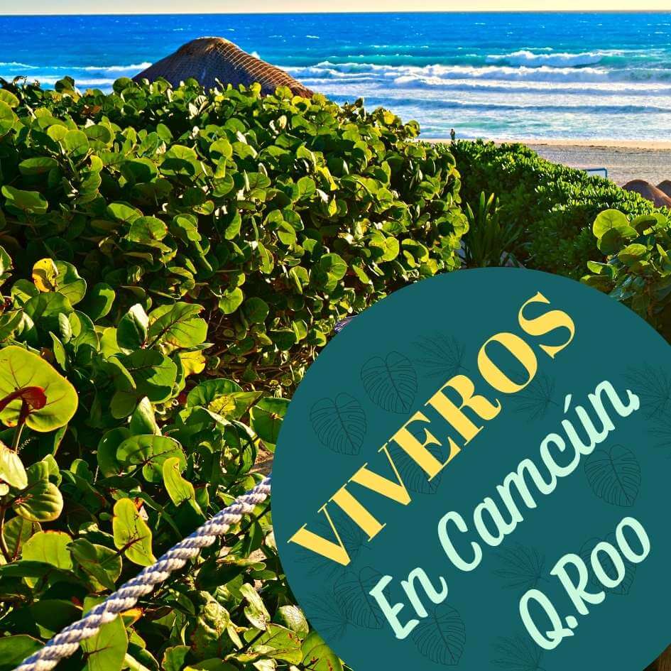 viveros en Cancún Quintana Roo