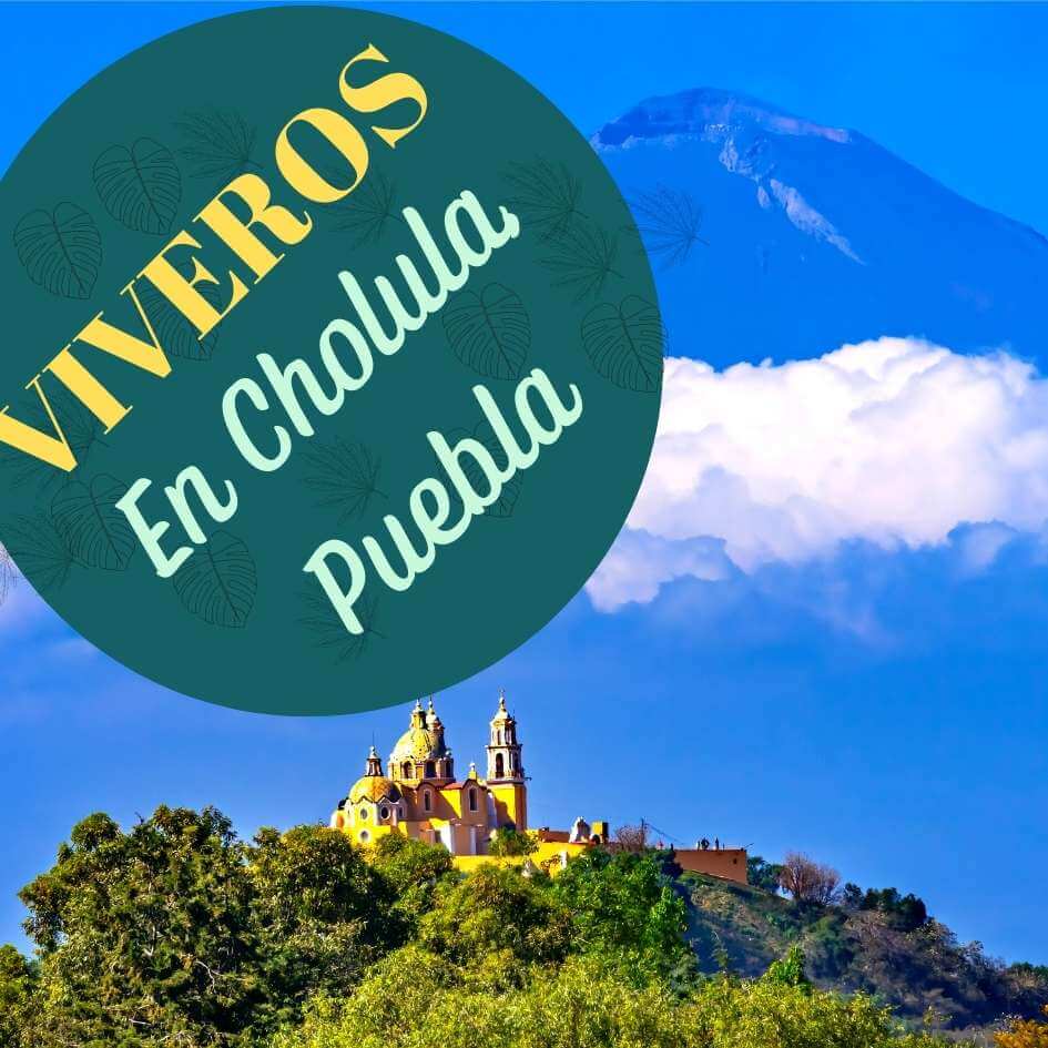 viveros en Cholula Puebla