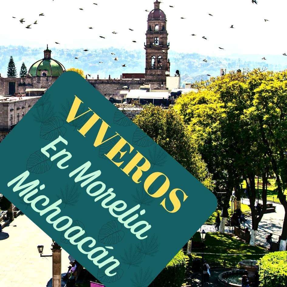 viveros en Morelia Michoacán