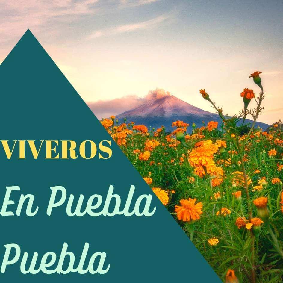 viveros en Puebla Puebla