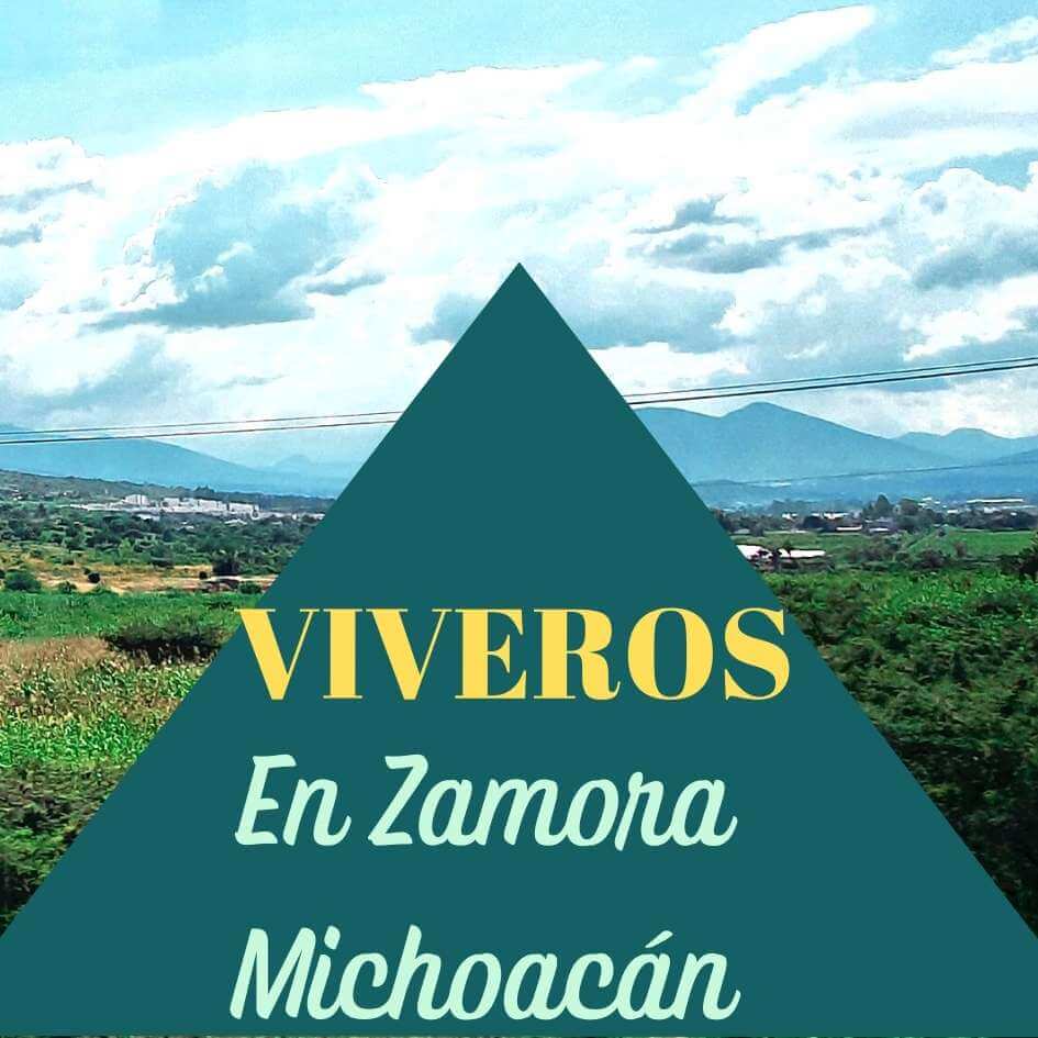 viveros en Zamora Michoacán